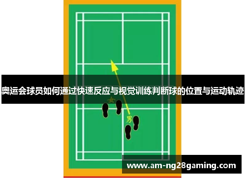 奥运会球员如何通过快速反应与视觉训练判断球的位置与运动轨迹 奥运会球员如何通过快速反应与视觉训练判断球的位置与运动轨迹