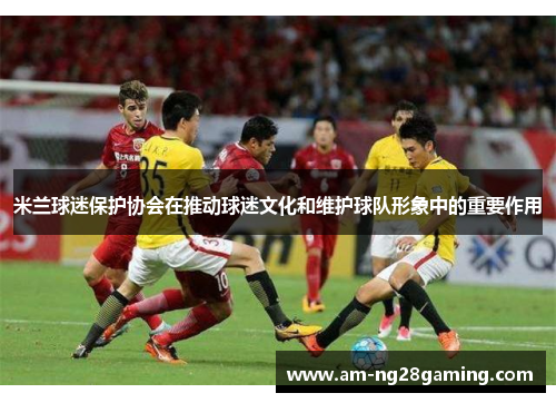 米兰球迷保护协会在推动球迷文化和维护球队形象中的重要作用 米兰球迷保护协会在推动球迷文化和维护球队形象中的重要作用