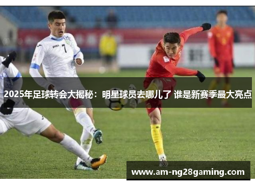 2025年足球转会大揭秘:明星球员去哪儿了 谁是新赛季最大亮点 2025年足球转会大揭秘:明星球员去哪儿了 谁是新赛季最大亮点