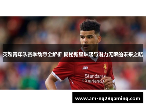 英超青年队赛季动态全解析 揭秘新星崛起与潜力无限的未来之路 英超青年队赛季动态全解析 揭秘新星崛起与潜力无限的未来之路