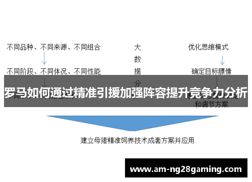 罗马如何通过精准引援加强阵容提升竞争力分析 罗马如何通过精准引援加强阵容提升竞争力分析