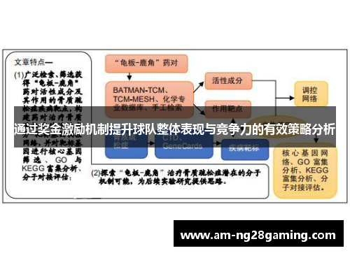 通过奖金激励机制提升球队整体表现与竞争力的有效策略分析 通过奖金激励机制提升球队整体表现与竞争力的有效策略分析