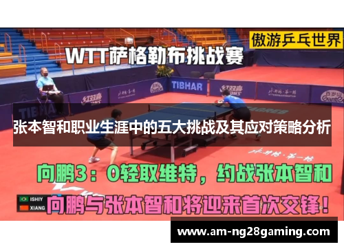 张本智和职业生涯中的五大挑战及其应对策略分析 张本智和职业生涯中的五大挑战及其应对策略分析